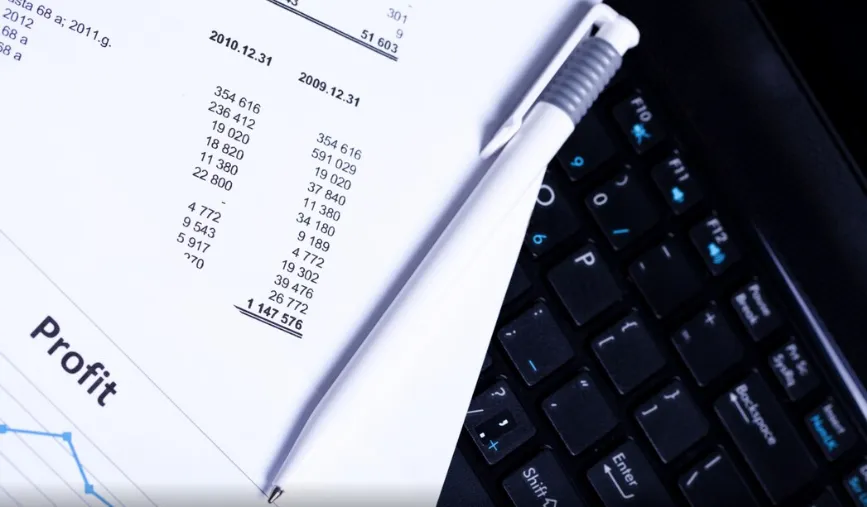 Financial Audit: Planning, Execution and Reporting